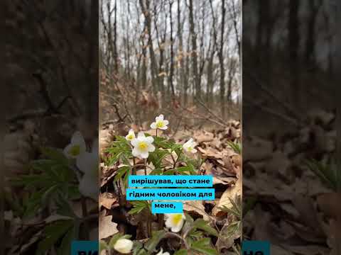 Видео: Син мав секрет
