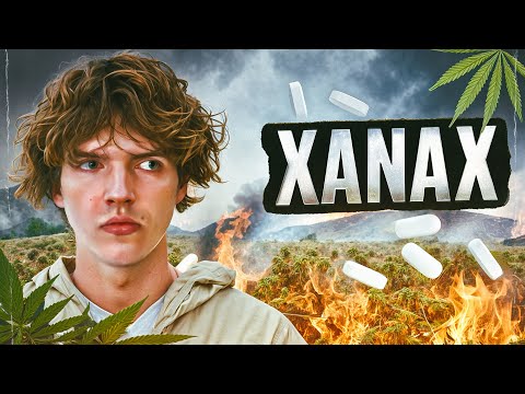 Видео: БОШКИ | XANAX | РПП | ОН ШЁЛ К УСПЕХУ НО НЕ ПОУЧИЛОСЬ, НЕ ФАРТАНУЛО