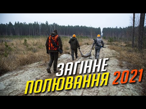 Видео: Яскраве полювання по копитному звіру / 2021 / Піпло