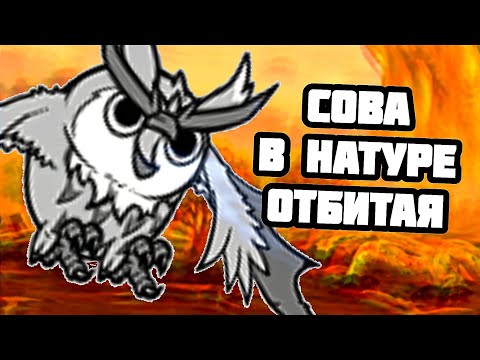 Видео: Сова стала проблемой! Проходим UL #80 (The Battle Cats)