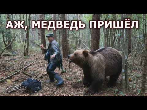 Видео: Аааа... ПЕРВЫЙ РАЗ ЗА 10 ЛЕТ НАШЁЛ ЕЁ!!! Даже медведь танцевал!