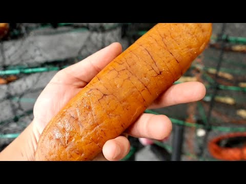 Видео: Карасуми, один из трех основных деликатесов, изначально готовили из spanish mackerel.
