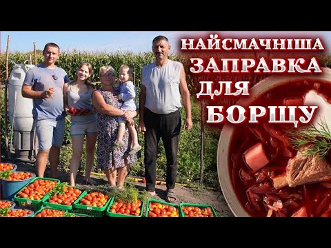 Видео: 🇺🇦Урожай помідорів і овочів🍅 Або РЕЦЕПТ заправки до БОРЩУ на весь РІК!