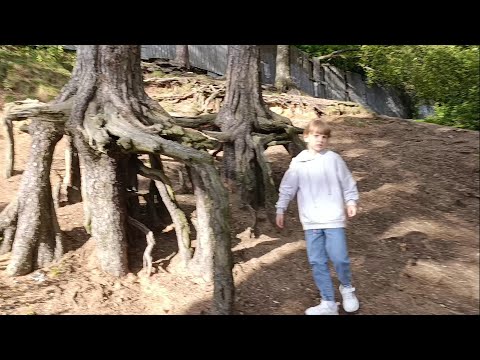 Видео: Еду к детям!//Необычная прогулка по Питерским "достопримечательностям"