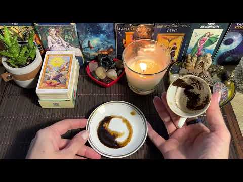 Видео: Чашка дня‼️