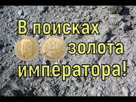 Видео: Поиск золота на распаханных хуторах! Коп с NOKTA Anfibio Multi! Фильм 97