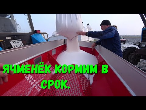 Видео: Как наш Колхоз Ячмень Подкармливал/Подкормка Озимого ячменя 2022/Подкормка Озимых.