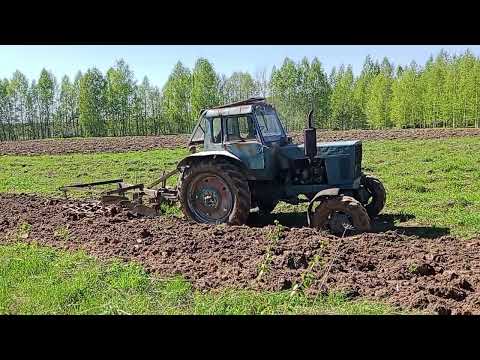 Видео: даже после трёх пашек в земле остаётся много камней и коряг. трактор жалко.