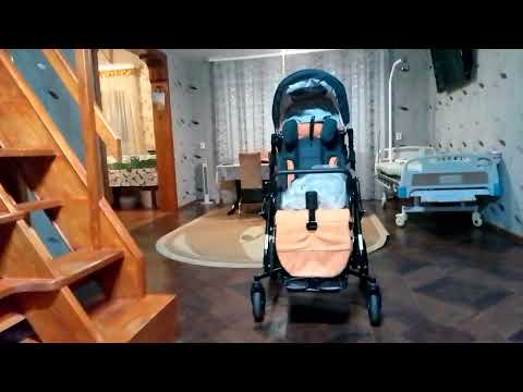 Видео: Обзор коляски для людей с особенностями Gemini 2  размер 2