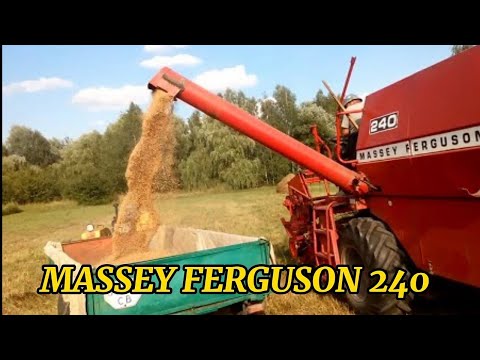Видео: Молотим у тестя пшеницю. Комбайн Massey Ferguson  240