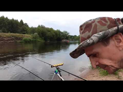 Видео: Клязьма . Рыбалка и отдых !