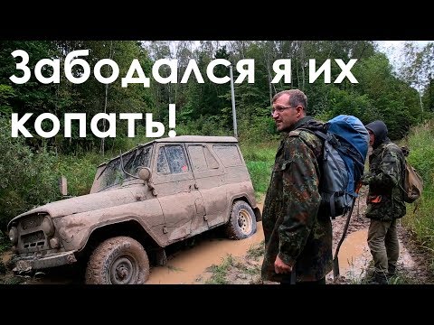 Видео: Забодался я их копать!