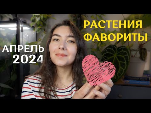 Видео: РАСТЕНИЯ, которыми я ОЧАРОВАНА | любимчики АПРЕЛЬ 2024