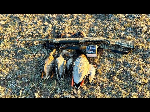 Видео: Такое в первые. Охота на утку, осень. Попали в буран #охота #hunting #охотанауток