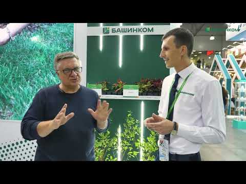Видео: Сколько стоит вырастить эко-урожай и каким способом? Андрей Туманов в гостях у БашИнкома.