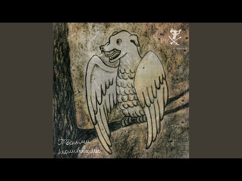 Видео: След в След