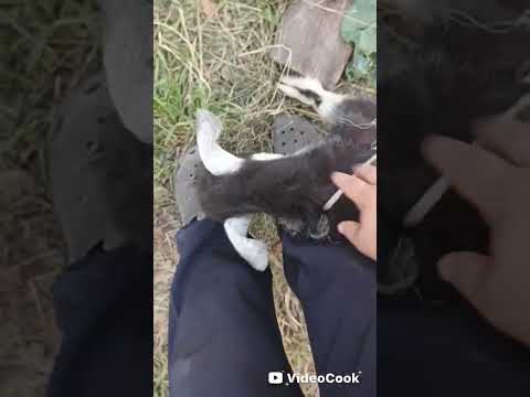 Видео: Тихий час