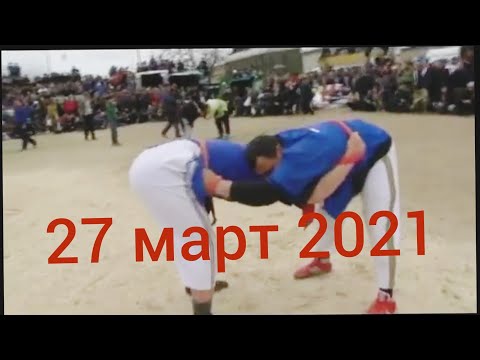 Видео: кураш чорбог 27 03 2021