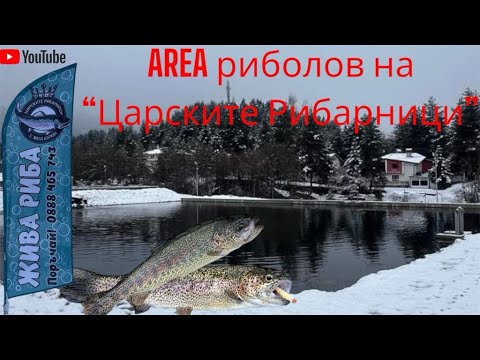 Видео: AREA риболов на "Царските Рибарници"
