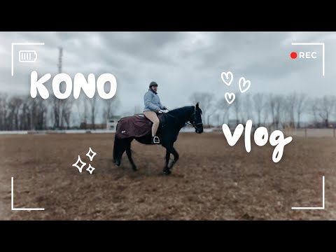 Видео: VLOG из ипподрома | тренировка по верховой езде | справляюсь со страхом