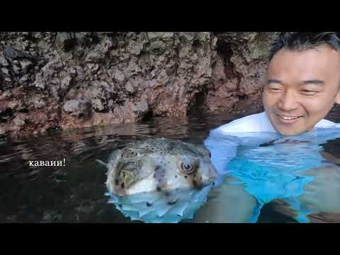 Видео: ПЕРЕЕХАЛИ НА ОСТРОВ: наши первые дни ❤︎