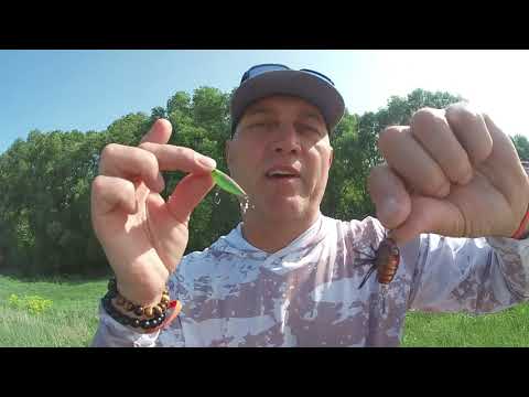 Видео: Спиннинг с берега  ЛЕЩ на блесну а ГОЛАВЛЬ на искусственного жука