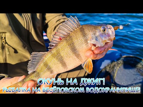 Видео: Рыбалка на ВЕСЁЛОВСКОМ водохранилище! Ловля окуня на джиг!