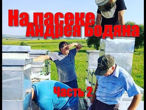 Видео: На пасеке Андрея Бодяна - Летний визит /Часть вторая/