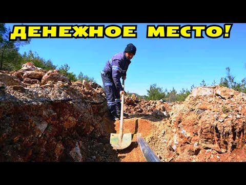 Видео: ДЕНЕЖНОЕ МЕСТО В СТАРОМ ЛЕСУ! СМОТРЕТЬ ВСЕМ! В Поисках Клада от Влада!