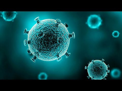 Видео: Искусственная жизнь (рассказывает профессор Давидс Фридманис)