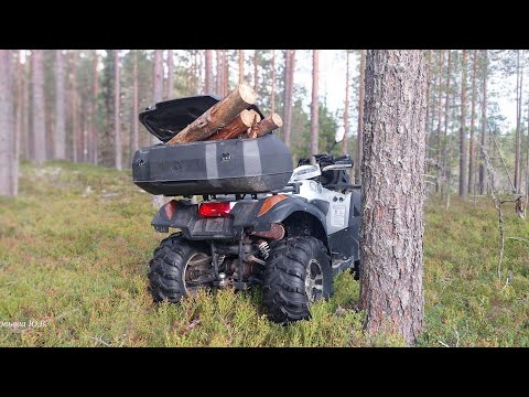 Видео: За дровами на квадроцикле