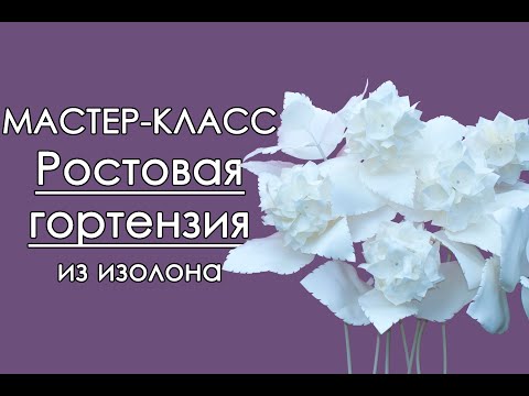 Видео: 🌸РОСТОВАЯ ГОРТЕНЗИЯ из изолона (Мастер-Класс 2018)