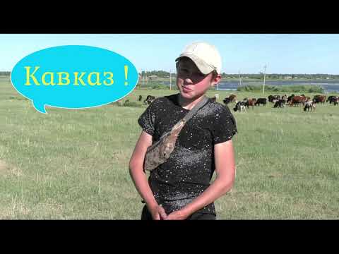 Видео: Как пасти, чем поить коров пастбище в деревне пастухи Сибири