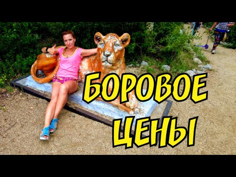 Видео: Цены в Боровом и сколько стоит жилье От некоторых цен я в шоке #боровое #цены #дорого #шок #семья #я