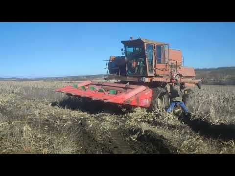 Видео: т 150 витягує комбайн, сіли на солончаку