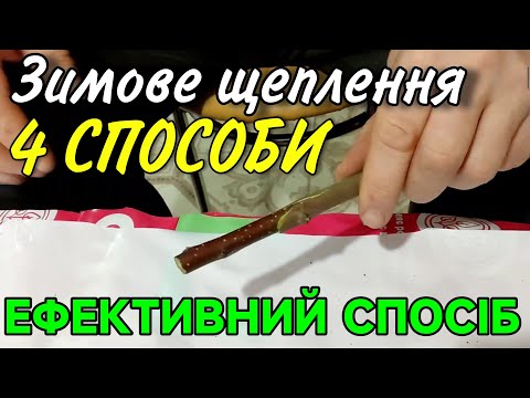 Видео: Зимове щеплення. 4 Способи. Майже 90% Виживання.