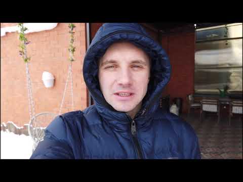 Видео: Пальмы в затяжные морозы!