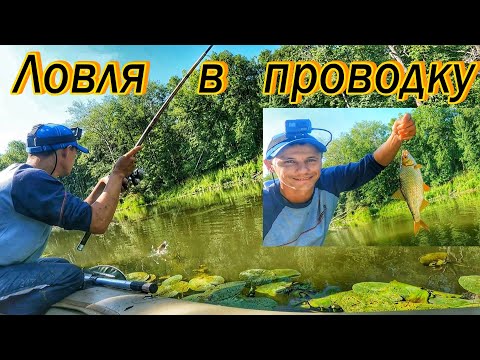 Видео: ЛОВЛЯ В ПРОВОДКУ НА ПОПЛАВОЧНУЮ УДОЧКУ/ЛОВЛЯ ПЛОТВЫ/В ПРОВОДКУ НА ТЕЧЕНИИ/РЫБАЛКА В САМАРЕ/РЕКА СОК