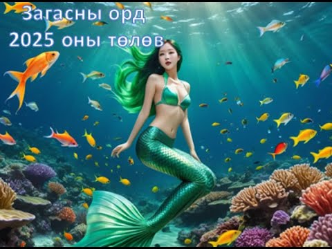 Видео: Загас 2025 оны ерөнхий төлөв