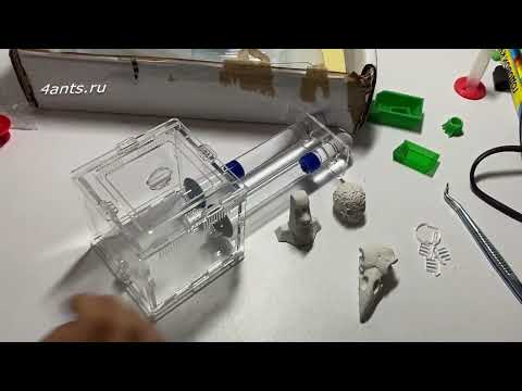 Видео: Мини-формикарий от 4ants