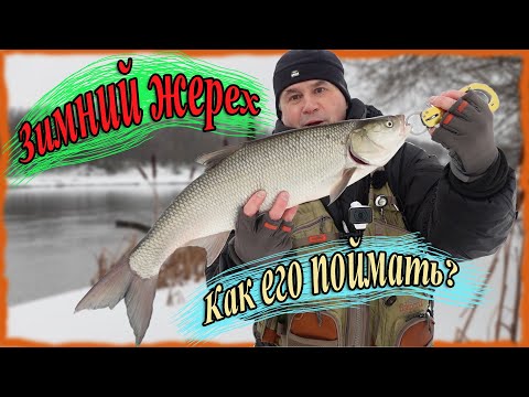 Видео: Зимний жерех. Как его поймать?