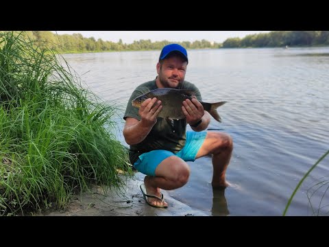 Видео: А ГАЙДА за ЛЯЩЕМ на Десну?! Це нам було вже вкрай необхідно.       #риболовля #фідернарибалка #Десна