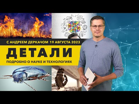 Видео: Вездесущие роботы-жуки и искусственный интеллект на службе у пожарных | «Детали»