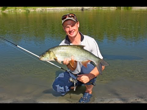 Видео: река Сейм "В поисках рыбацкого счастья"