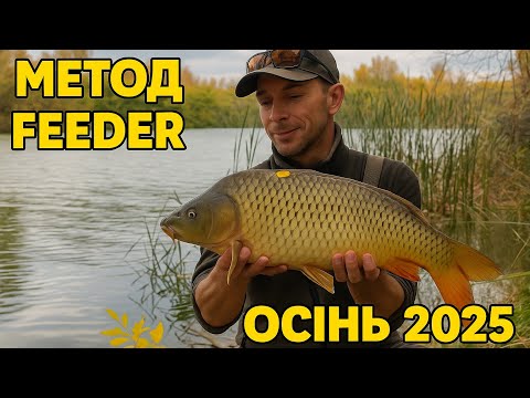 Видео: 🎣 Осінній активний короп. Фідерна риболовля на одному з каналів Дунаю.