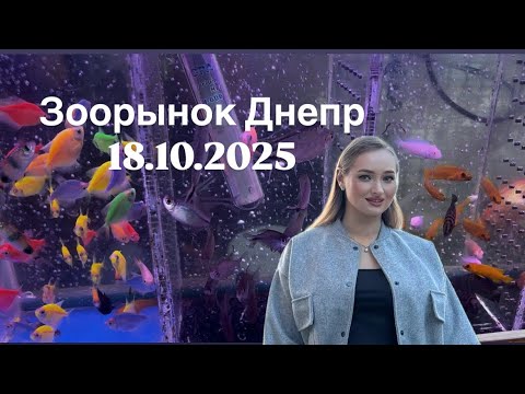 Видео: Зоорынок Днепр 18.10.2025 ( ПОЛНЫЙ ОБЗОР) 