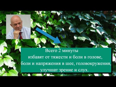 Видео: 2 минуты от мигрени, головной боли, напряжения в шее, головокружения и улучшения зрения. Самомассаж