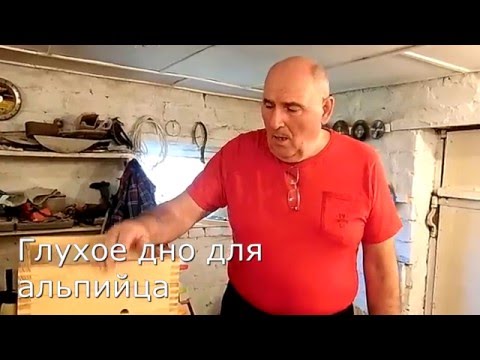 Видео: Глухое дно для альпийца