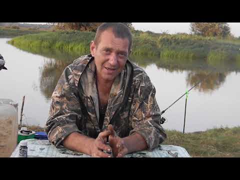 Видео: ОБЗОР КАПКАНОВ БРИДЖЕР