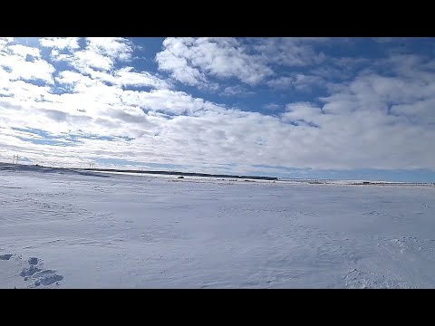 Видео: Для карася ещё рано. Рыбалка в Липовке